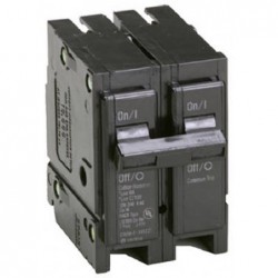 30A Double Pole Interchangeable Circuit Breaker